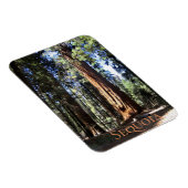 Sequoia-Nationalpark Magnet (Rechte Seite)