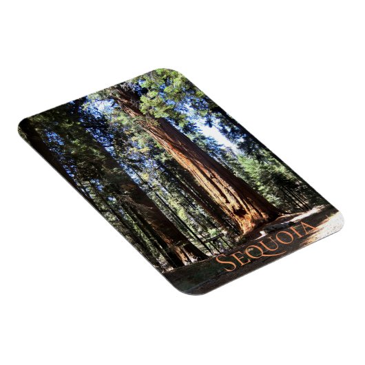 Sequoia-Nationalpark Magnet (Rechte Seite)