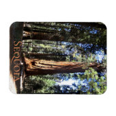 Sequoia-Nationalpark Magnet (Horizontal)