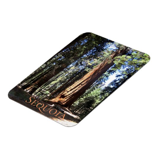Sequoia-Nationalpark Magnet (Linke Seite)