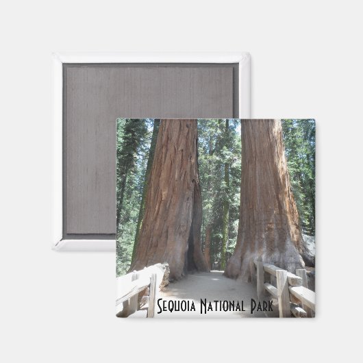 Sequoia-Nationalpark Magnet (Vorderseite/Rückseite)