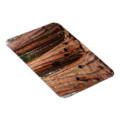 Sequoia-Nationalpark Magnet (Rechte Seite)