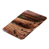 Sequoia-Nationalpark Magnet (Linke Seite)