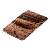 Sequoia-Nationalpark Magnet (Linke Seite)