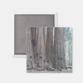 Sequoia-Nationalpark Magnet (Vorderseite/Rückseite)
