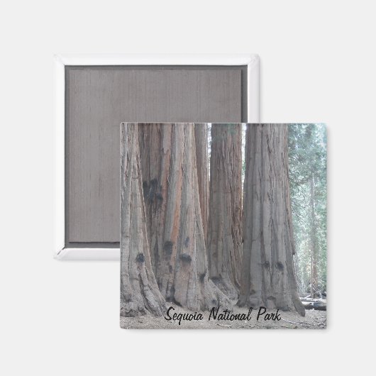 Sequoia-Nationalpark Magnet (Vorderseite/Rückseite)