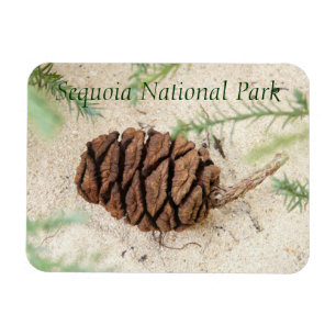 Sequoia Nationalpark Magnet