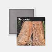 Sequoia-Nationalpark Magnet (Vorderseite/Rückseite)