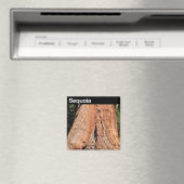 Sequoia-Nationalpark Magnet (In Situ (Geschirrspüler))