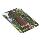 Sequoia-Nationalpark Magnet (Rechte Seite)