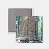 Sequoia-Nationalpark Magnet (Vorderseite/Rückseite)