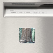 Sequoia-Nationalpark Magnet (In Situ (Geschirrspüler))