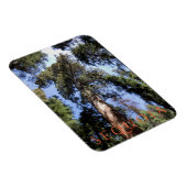 Sequoia-Nationalpark Magnet (Rechte Seite)