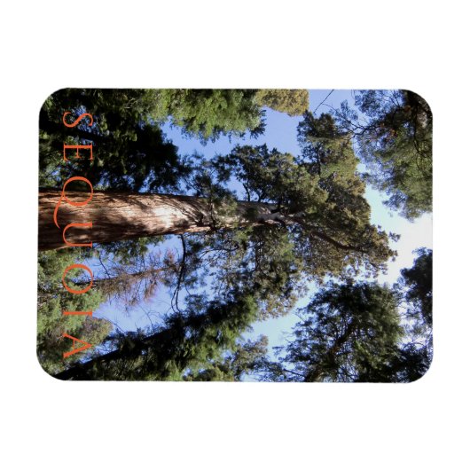 Sequoia-Nationalpark Magnet (Horizontal)