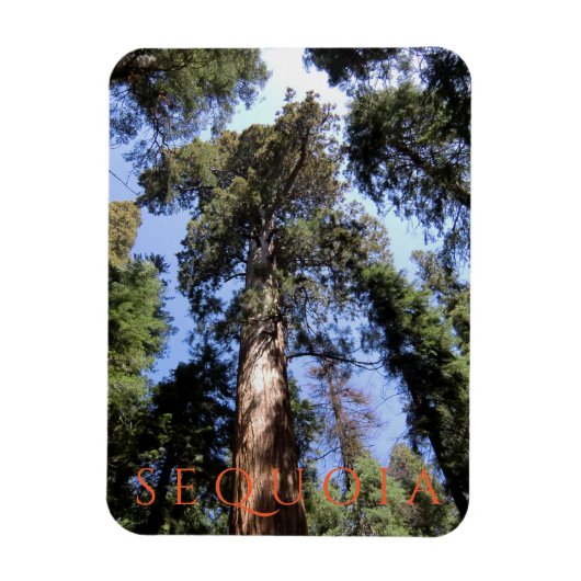 Sequoia-Nationalpark Magnet (Vertikal)