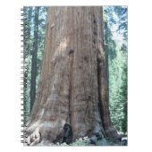 Sequoia-Nationalpark Notizblock (Vorderseite)