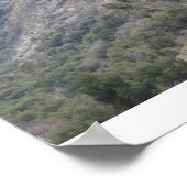 Sequoia-Nationalpark Poster (Ecke)