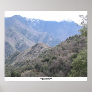Sequoia-Nationalpark Poster