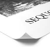 Sequoia-Nationalpark Poster (Ecke)