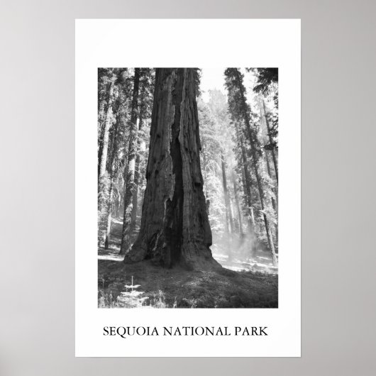 Sequoia-Nationalpark Poster (Vorne)