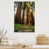 Sequoia-Nationalpark Poster (Küche)