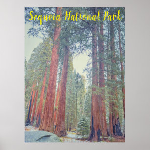 Sequoia-Nationalpark Poster