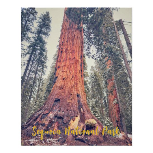 Sequoia-Nationalpark Poster (Vorderseite)