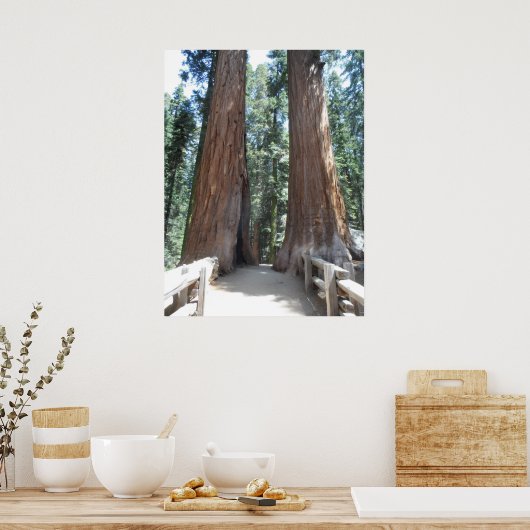 Sequoia-Nationalpark Poster (Küche)