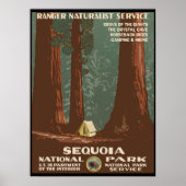 Sequoia-Nationalpark Poster (Vorne)