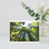 Sequoia-Nationalpark Postkarte (Stehend Vorderseite)