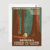 Sequoia-Nationalpark Postkarte (Vorne/Hinten)