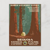 Sequoia-Nationalpark Postkarte (Vorderseite)