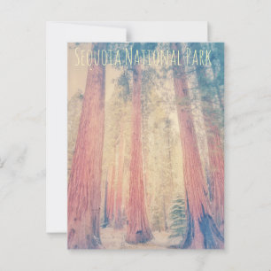 Sequoia-Nationalpark Postkarte