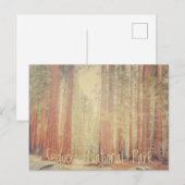 Sequoia-Nationalpark Postkarte (Vorne/Hinten)