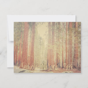 Sequoia-Nationalpark Postkarte