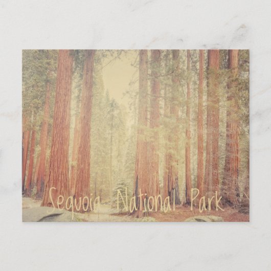 Sequoia-Nationalpark Postkarte (Vorderseite)