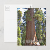Sequoia-Nationalpark Postkarte (Vorne/Hinten)