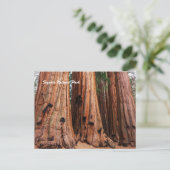 Sequoia-Nationalpark Postkarte (Stehend Vorderseite)