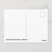 Sequoia-Nationalpark Postkarte (Rückseite)