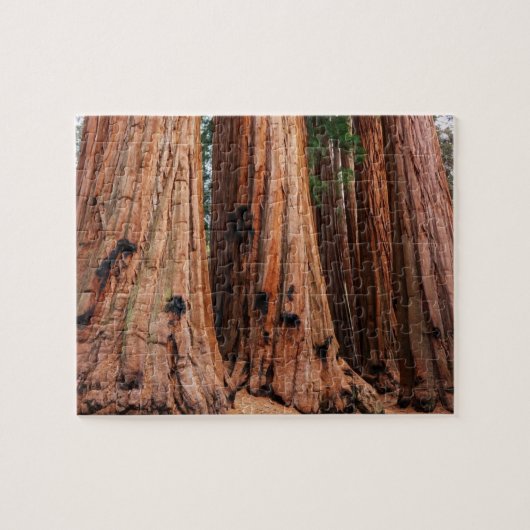 Sequoia-Nationalpark Puzzle (Horizontal)