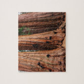 Sequoia-Nationalpark Puzzle (Vertikal)