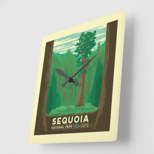 Sequoia-Nationalpark Quadratische Wanduhr (Winkel)