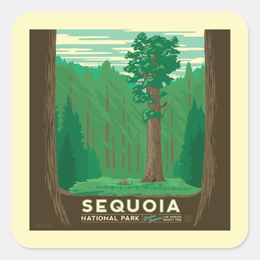 Sequoia-Nationalpark Quadratischer Aufkleber (Vorderseite)