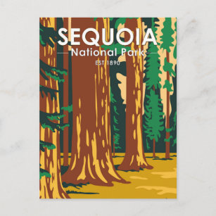 Sequoia Nationalpark Riesengebirge Sequoia Bäume V Postkarte