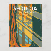 Sequoia Nationalpark Riesengebirge Sequoia Trees Postkarte (Vorderseite)