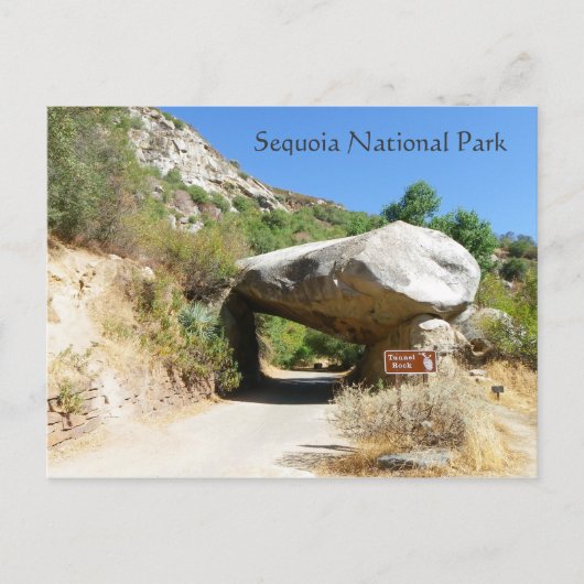 Sequoia Nationalpark/Tunnel Rock Postcard! Postkarte (Vorderseite)