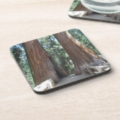 Sequoia-Nationalpark Untersetzer (Linke Seite)