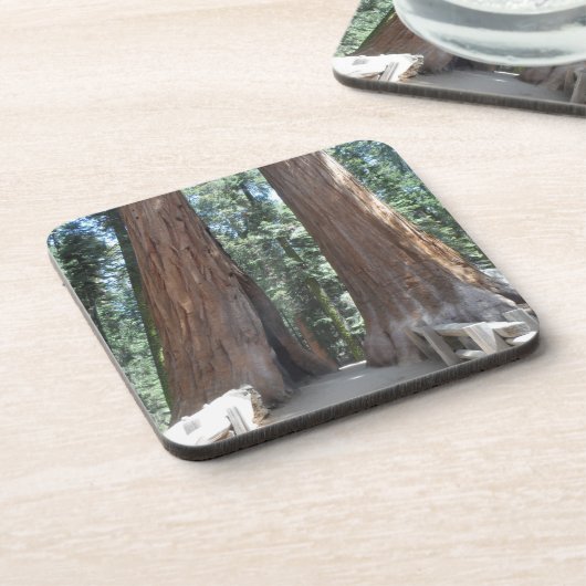 Sequoia-Nationalpark Untersetzer (Linke Seite)