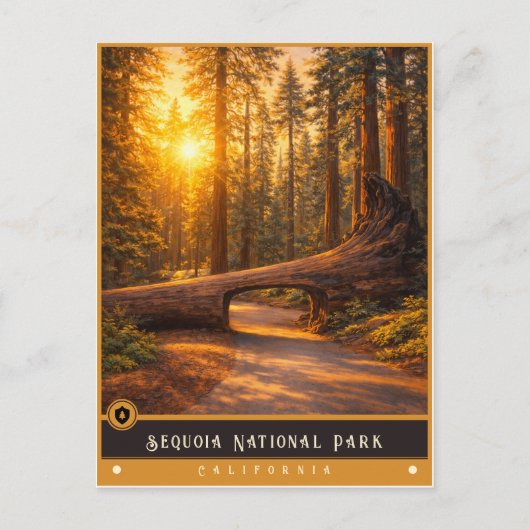 Sequoia-Nationalpark | Vintage Postkarte (Vorderseite)