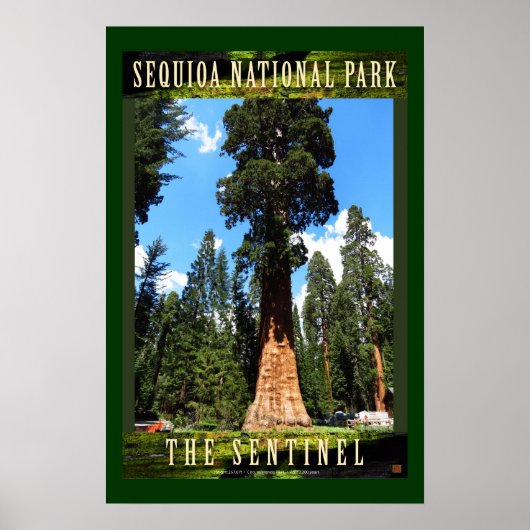 SEQUOIA NAT'L PARK-California-The Sentinel- Poster (Vorne)